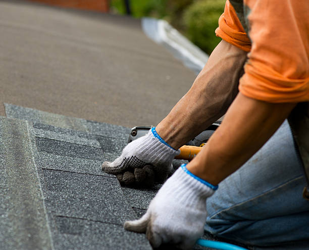 Best Roof Waterproofing Services  in Enfield, NC